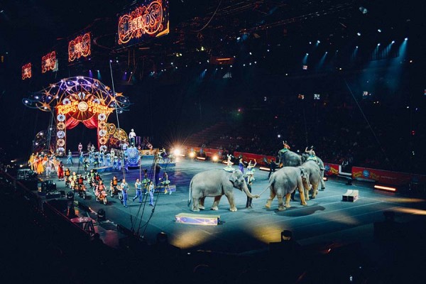 Стало известно, когда цирки в России откроют новый сезон 