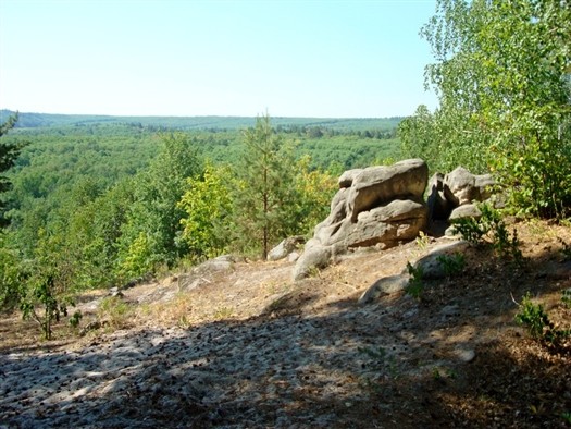 
Самарская область вошла в "Великий Волжский путь"
