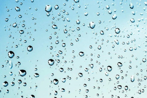 В конце последней недели августа в регионе ожидаются дожди и грозы