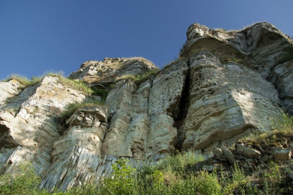 Бывшего директора &laquo;Самарской Луки&raquo; Александра Губернаторова обвинили в мошенничестве 