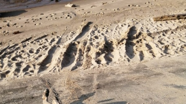 В Тольятти лихача за выезд на пешеходную зону жестко наказали