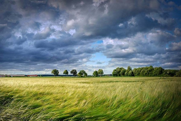 Самарцам угрожает сильный ветер 
