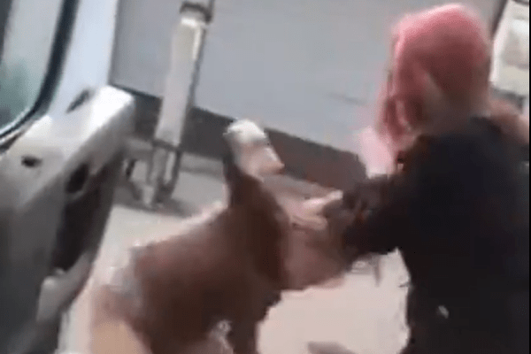 В блогах: &laquo;масочная&raquo; женская драка в самарской маршрутке 