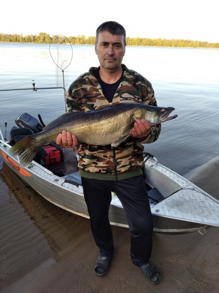 Самарец поймал в Волге огромного судака 