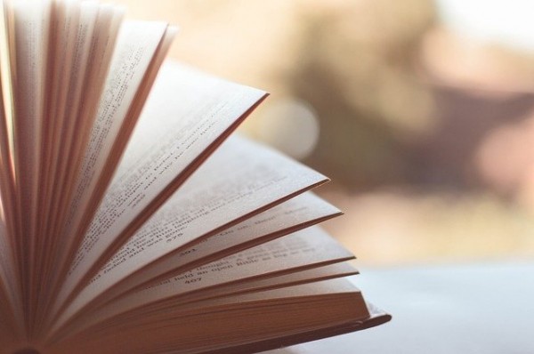 В Самаре состоится книжный фестиваль «Время читать»  В Самаре состоится книжный фестиваль «Время читать»