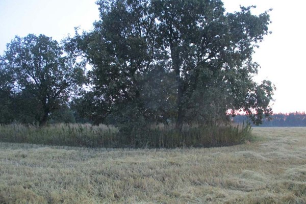 В Самарской области охотник по ошибке убил приятеля В Самарской области охотник по ошибке убил приятеля