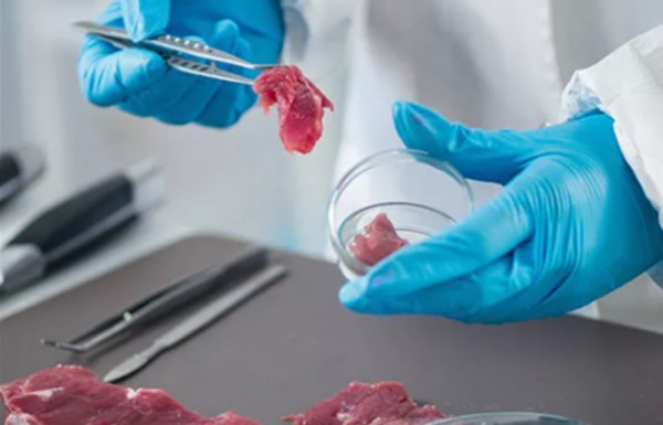 В продукции &laquo;Сызранского Мясокомбината&raquo; нашли антибиотики 