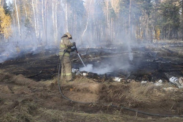 Лесной пожар под Самарой потушили Лесной пожар под Самарой потушили