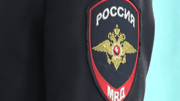 Лось стоимостью в 320 тыс рублей: в Самарской области мужчина доплатит государству за мертвого лося