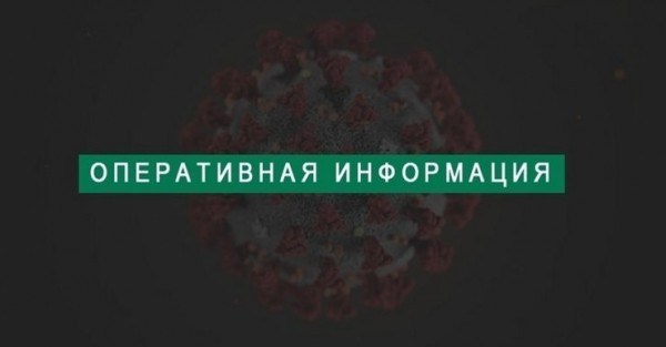 Коронавирус в Самарской области: плюс 173 инфицированных