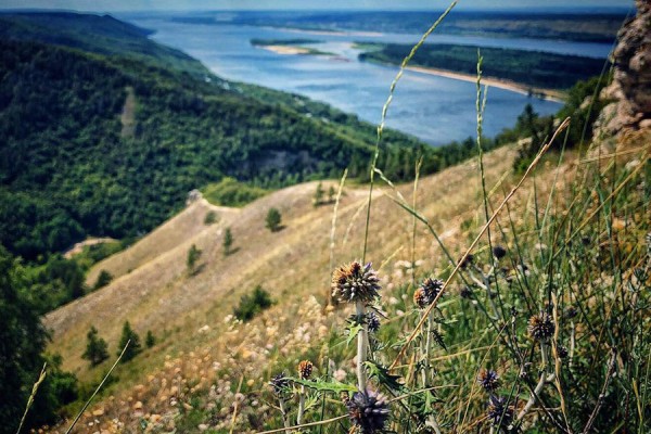 &laquo;Самарская Лука&raquo; стала победителем всероссийского конкурса по развитию экотуризма 