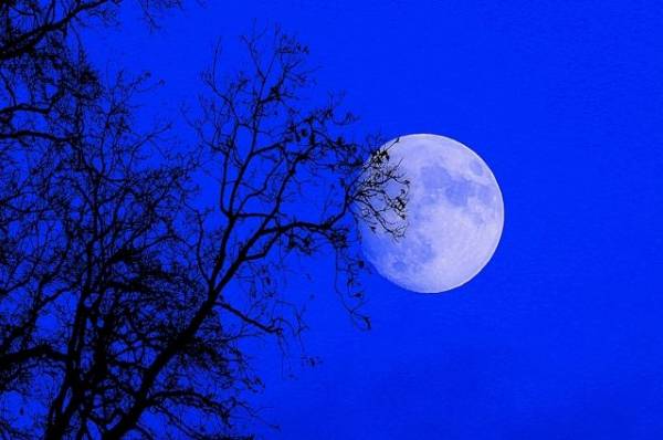 31 октября самарцы смогут увидеть голубую луну