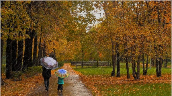 Какая погода ждет самарцев в выходные