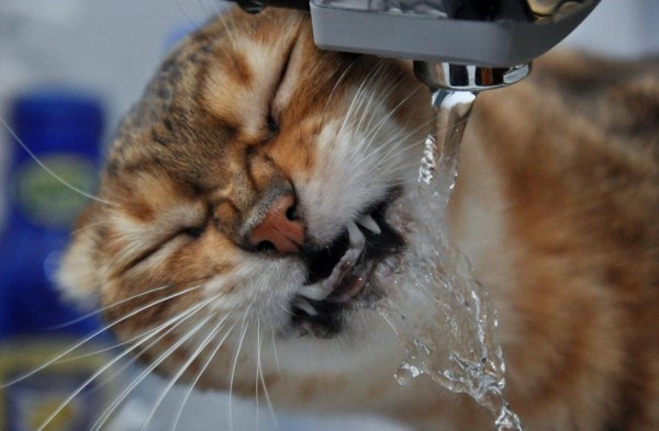 &laquo;Заплати и спи спокойно&raquo;: в Самаре должникам за воду начнут отключать услуги 