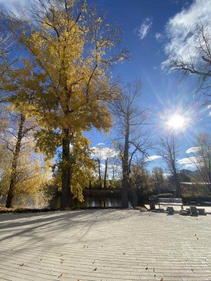 Елена Лапушкина проверила реконструкцию «Ерик-парка» Елена Лапушкина проверила реконструкцию «Ерик-парка»