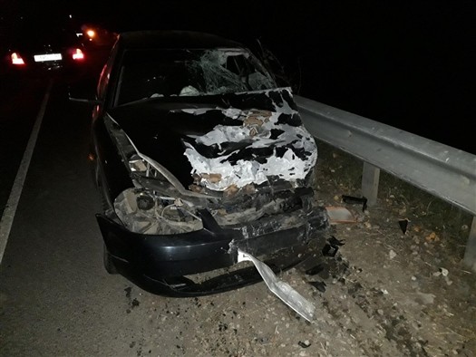 
Два человека погибли и два пострадали в ДТП под Кинелем
