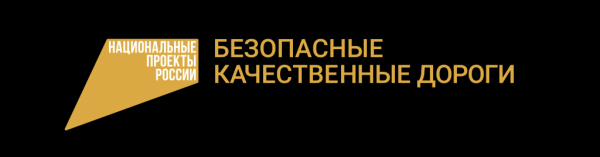 По новым тротуарам: часть пешеходных зон улицы Арцыбушевской по дорожному нацпроекту обновляют раньше запланированного