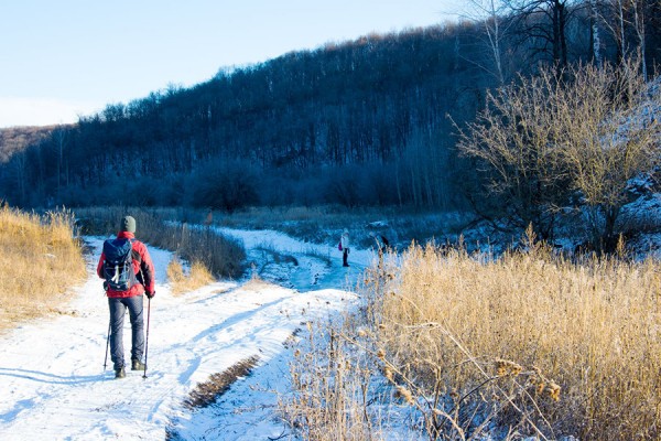 В блогах: по Самарской Луке прошлась &laquo;Сороконожка&raquo; 