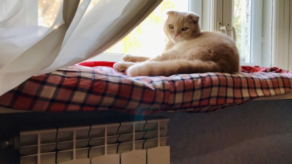 Стали известны максимальные цены на отопление в Самаре в 2021 году