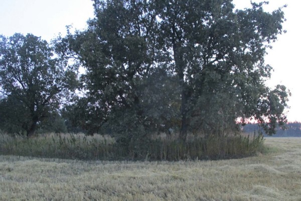 В Самарской области будут судить охотника, принявшего знакомого за животное 