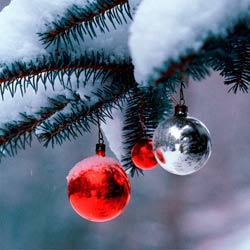 Адреса елочных базаров в Тольятти 2020