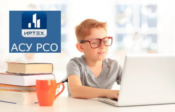 &laquo;Цифровой концлагерь, ужасное творение&raquo;: самарчанка &laquo;разгромила&raquo; АСУ РСО 