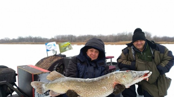 Сызранец советует не снимать плавки тем, кто собирается купаться в Волге летом 2021