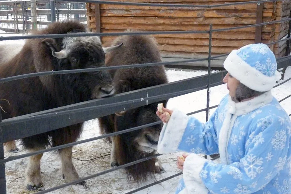  Новогодние праздники: как их будут проводить в разных регионах  