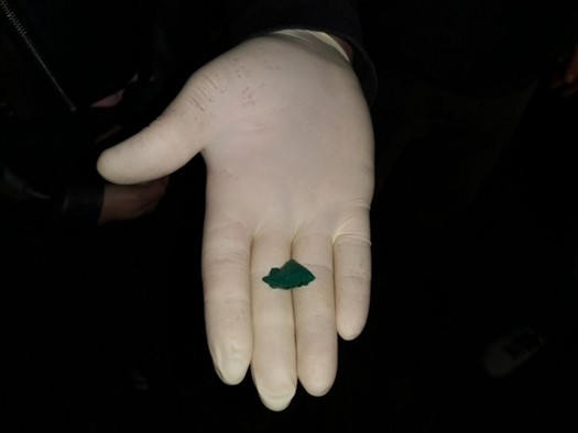 
В Самаре депутата заподозрили в причастности к обороту наркотиков
