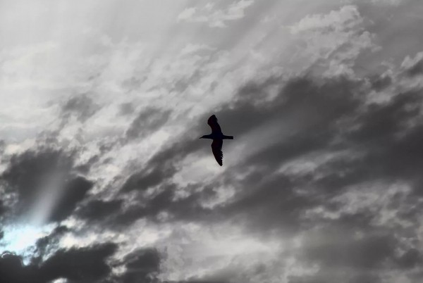 В блогах: в &nbsp;Самарской губернии может скоро грянуть буря? 