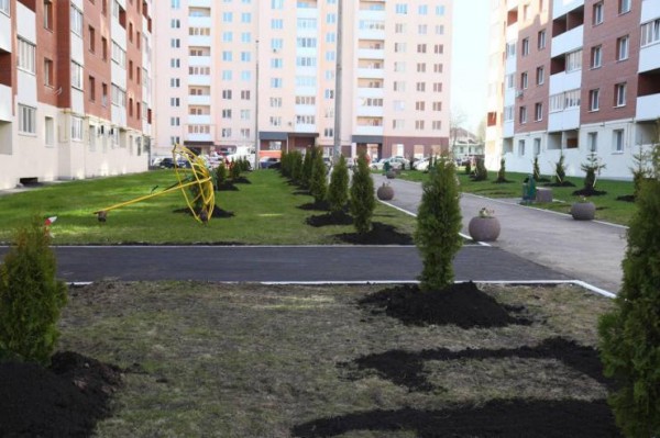 В "Новой Самаре" высадили новые деревья вместо спиленных елей
