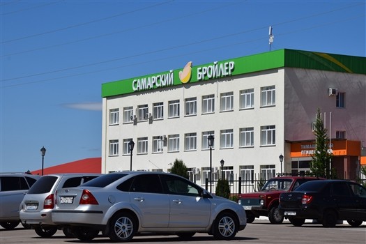 Тимашевская птицефабрика вводит ограничения из-за птичьего гриппа
Тимашевская птицефабрика вводит ограничения из-за птичьего гриппа