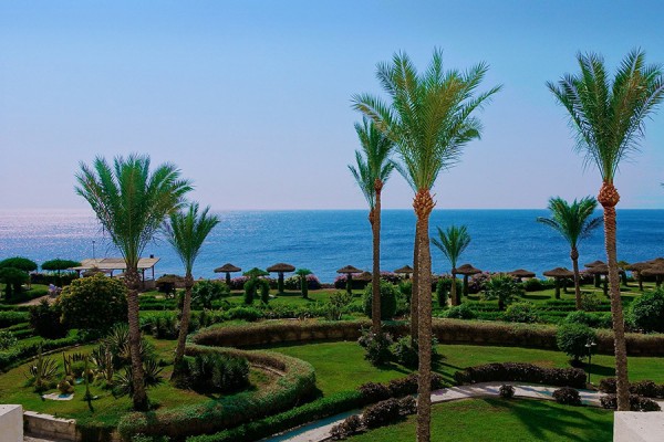 Вместо Турции Египет: когда россияне смогут отдохнуть в тени пирамид? 