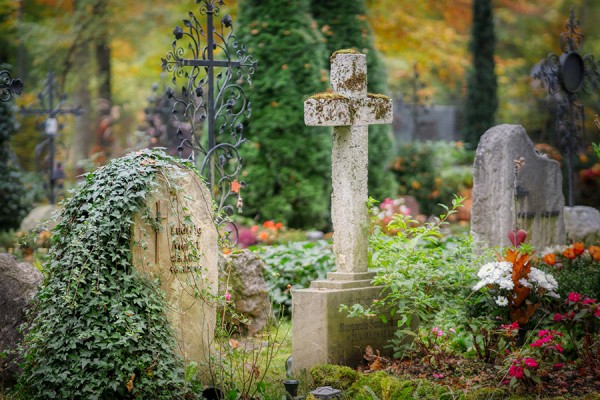 В Самаре до 2026 года хотят построить новое кладбище В Самаре до 2026 года хотят построить новое кладбище