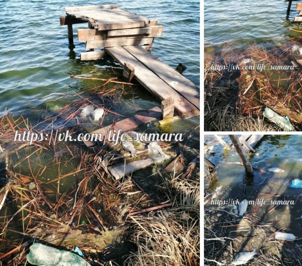 На реке Сок у Старосемейкино произошел замор рыбы 