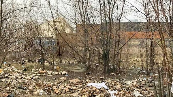 В Тольятти посреди города нашли кладбище домашних животных