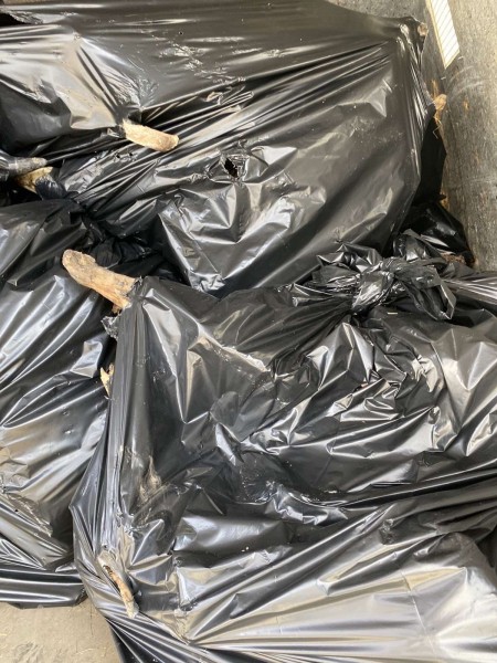 В Тольятти посреди города нашли кладбище домашних животных