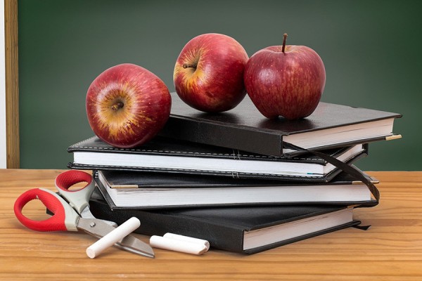 В Самарской области в 2021 году отменили обязательную сдачу ЕГЭ для выпускников 