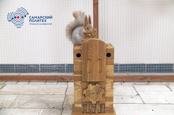 В Самаре СамГТУ запустил экологический проект &laquo;Белки Политеха&raquo;