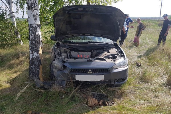 Впечаталась в березу: двое мальчиков пострадали в ДТП с Mitsubishi в Самарской области 