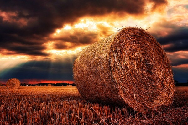 В Самаре в начале недели сохранится аномальная жара до +35 