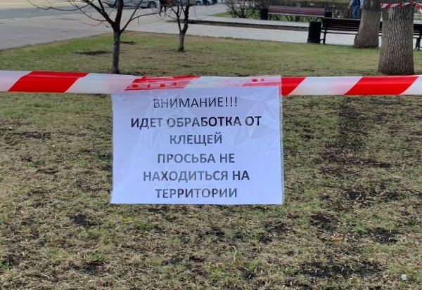 Территорию у бывшего стадиона "Самара Арена" обработают от клещей до 15 мая