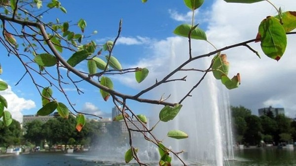 До +26 градусов потеплеет и пройдут дожди в Самарской области во вторник