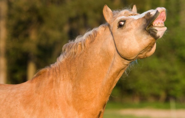 Огреют палкой и увезут на кирпичный завод: как в Самаре проходят свидания после знакомства в интернете