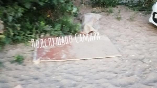 В Самаре в Студеном овраге 6 августа 2021 года утонула девушка