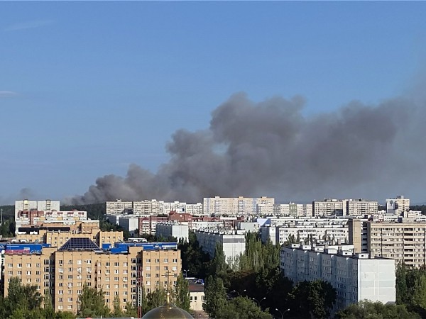 Срочно! В Тольятти горит лес! Хроника большого пожара - видео