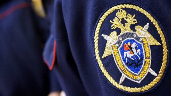 Бастрыкин поручил доложить о расследовании нападения на пенсионеров в Тольятти 