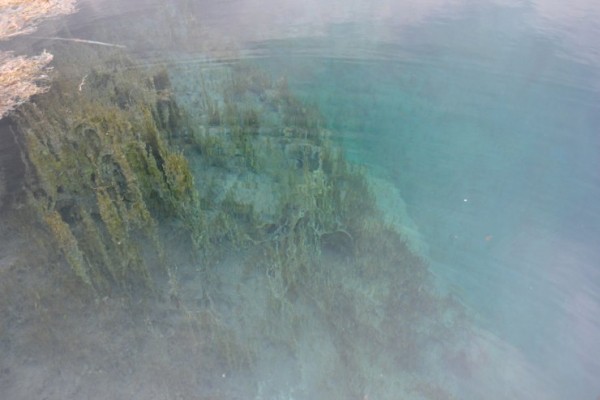 Возле Голубого озера в Самарской области предложили создать арт-парк с кемпингом