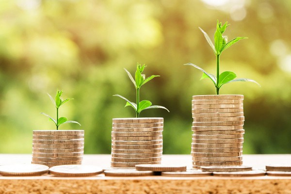 33 млн рублей выделят на компенсацию платы за обращение с ТКО самарцам из частных домов 