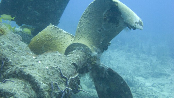 В Самаре внутри затонувшего в Волге катера &laquo;CABA&raquo; нашли тела двух пропавших мужчин